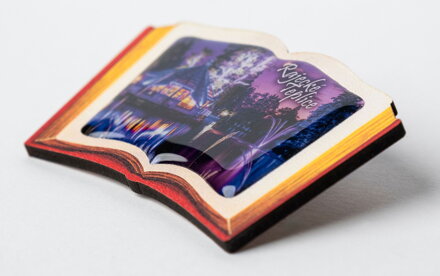 Magnetka drevo / živica KNIŽKA